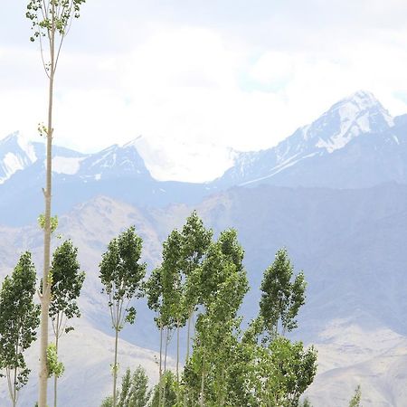 Hotel Kasdar Ladakh Léh Exteriér fotografie