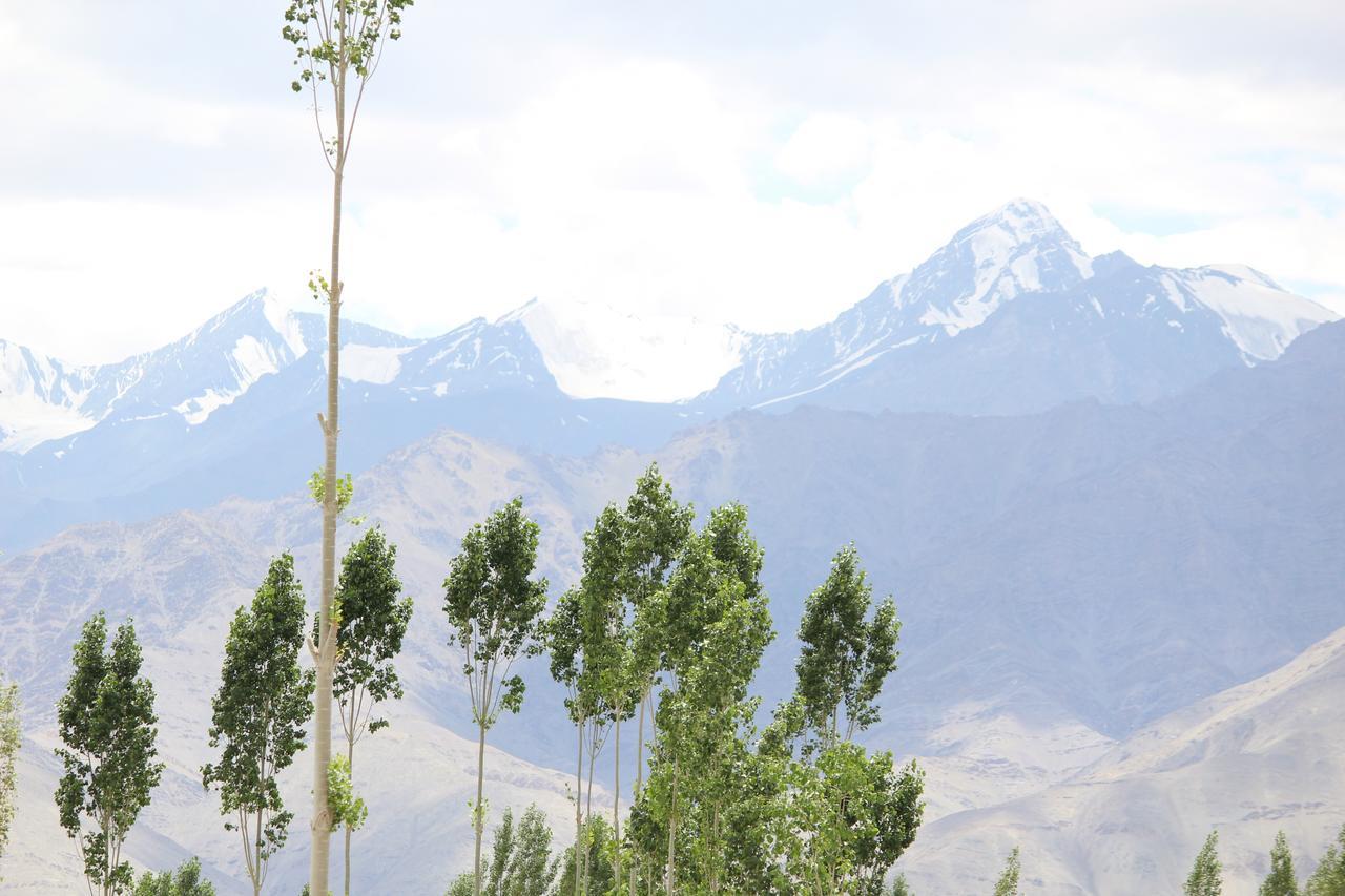 Hotel Kasdar Ladakh Léh Exteriér fotografie